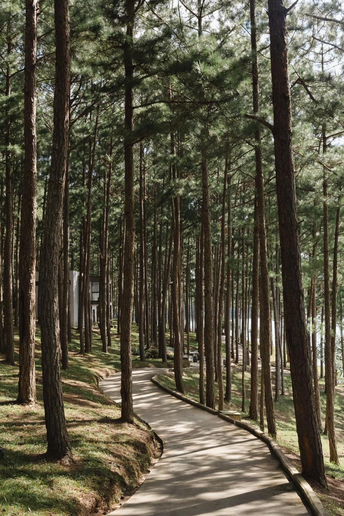 Terracotta Hotel & Resort Dalat Eksteriør billede